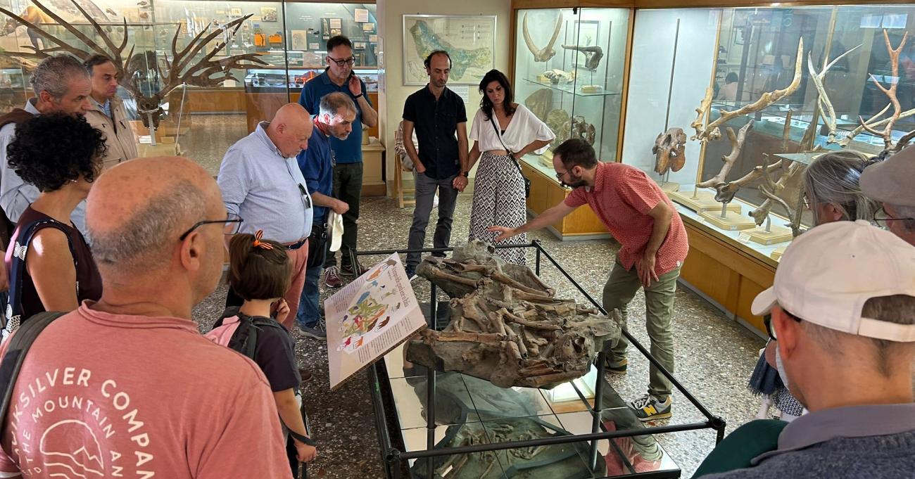Una visita guidata al Museo di Paleontologia