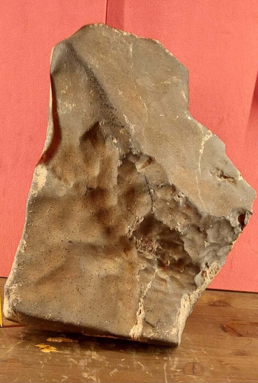 Il meteorite NWA 16788, trovato in Niger nel 2023