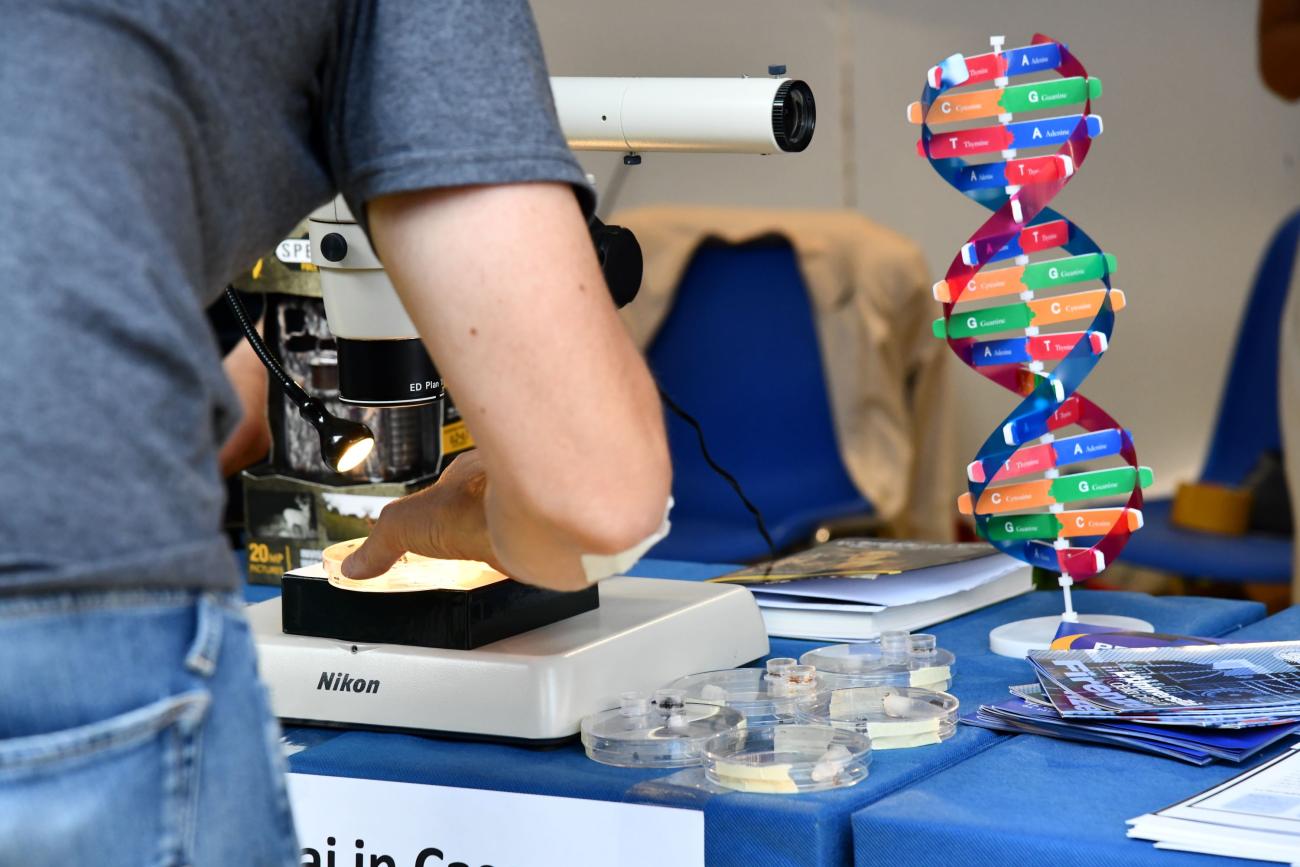 un'immagine dell'edizione 2024 di Bright-Night