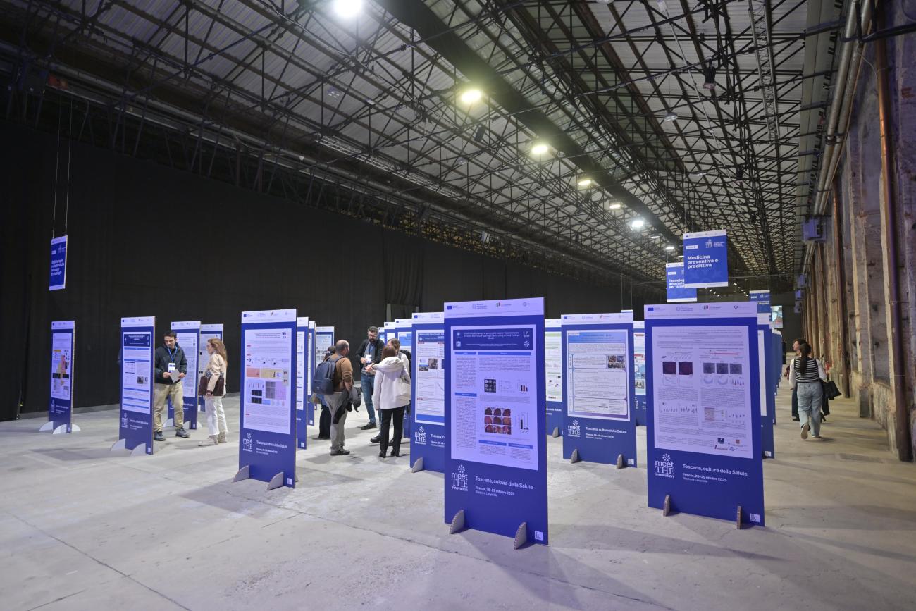 I poster dei progetti condotti nell'ambito del THE