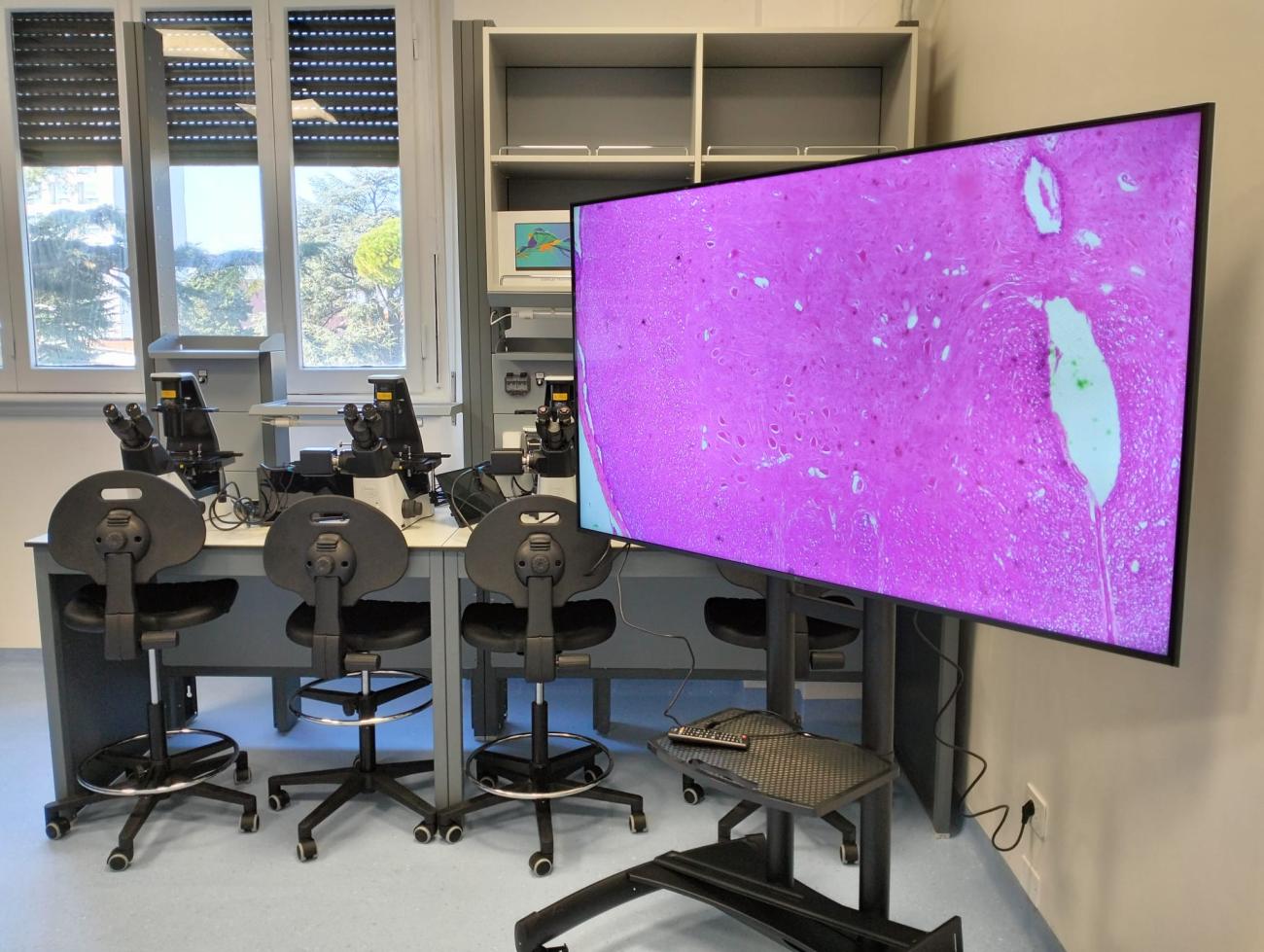 Il Bio VITA Lab al Campus Morgagni