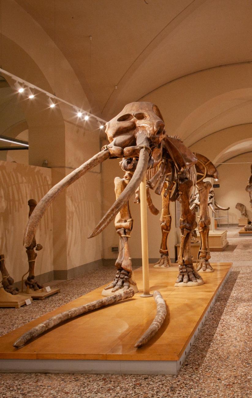 Mastodonte
