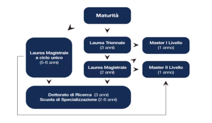 funzionamento_universita_italiana_schema_900x400bis.png