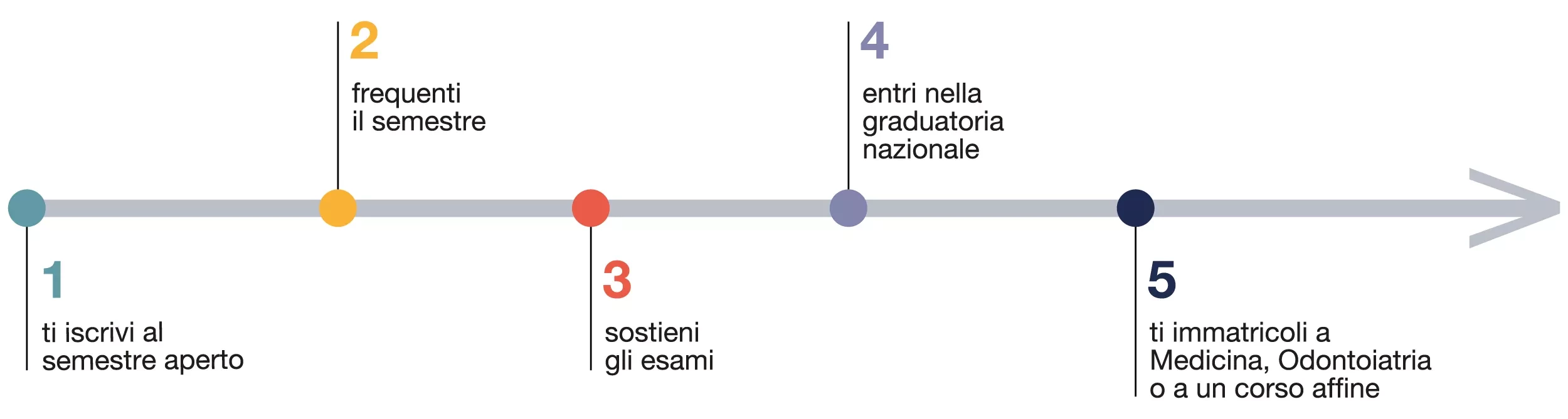 Schema del percorso del semestre aperto articolato in cinque fasi: 1. iscrizione al semestre aperto; 2. frequenza del semestre; 3. svolgimento degli esami; 4. inserimento nella graduatoria nazionale; 5. immatricolazione a Medicina e Chirurgia, Odontoiatria e Protesi Dentaria oppure a un corso affine.
