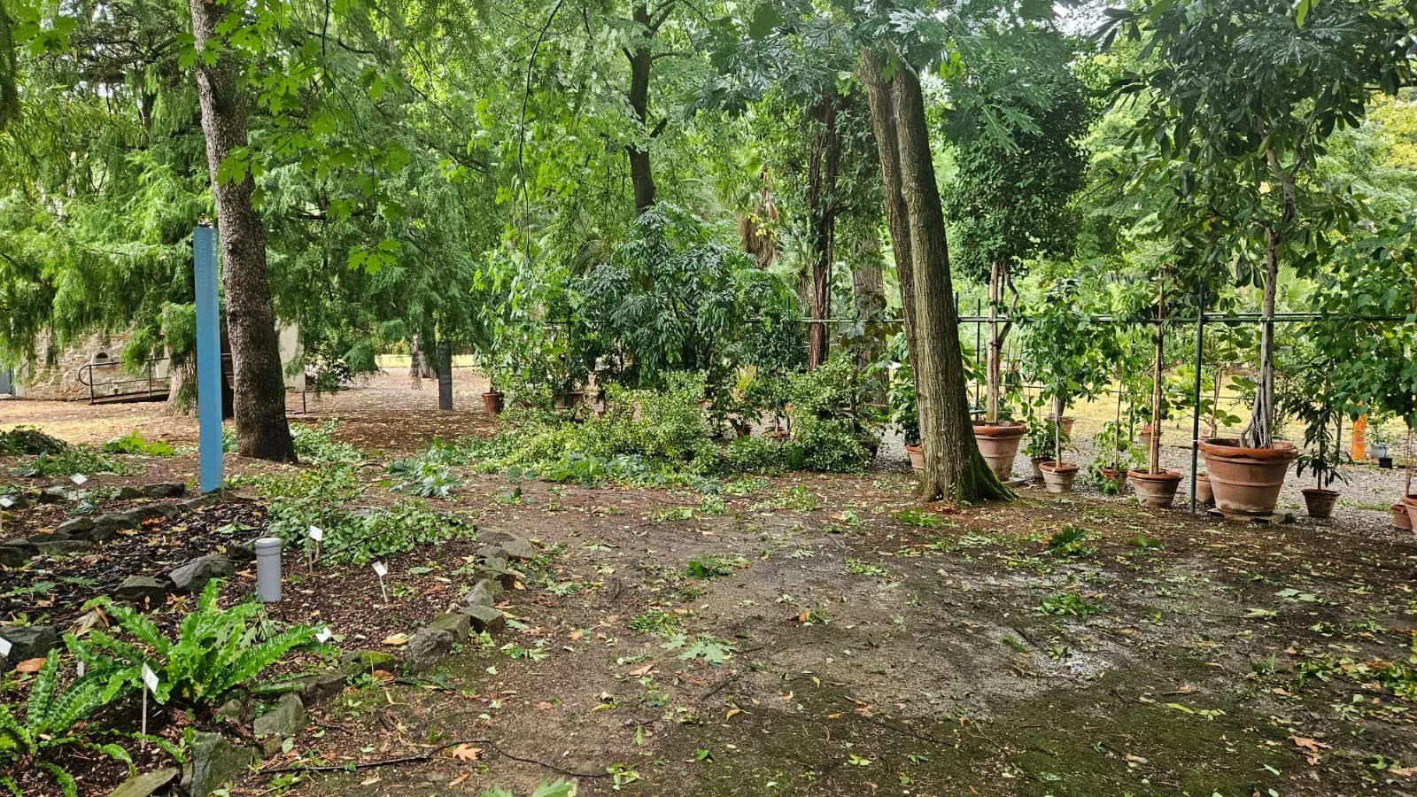 orto botanico