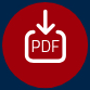 File di tipo PDF