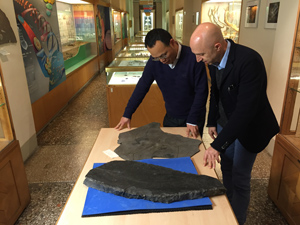 Geologia e Paleontologia: Dayong Jiang e Stefano Dominici